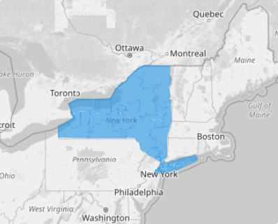 Map of New York Senate Districts